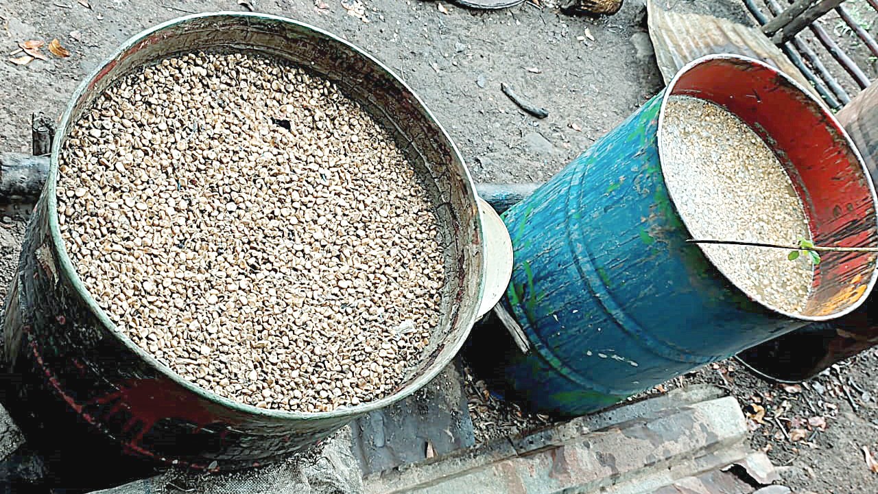 Deadly Traditional Brew ‘Dontonto’ Linked to Severe Health Risks
